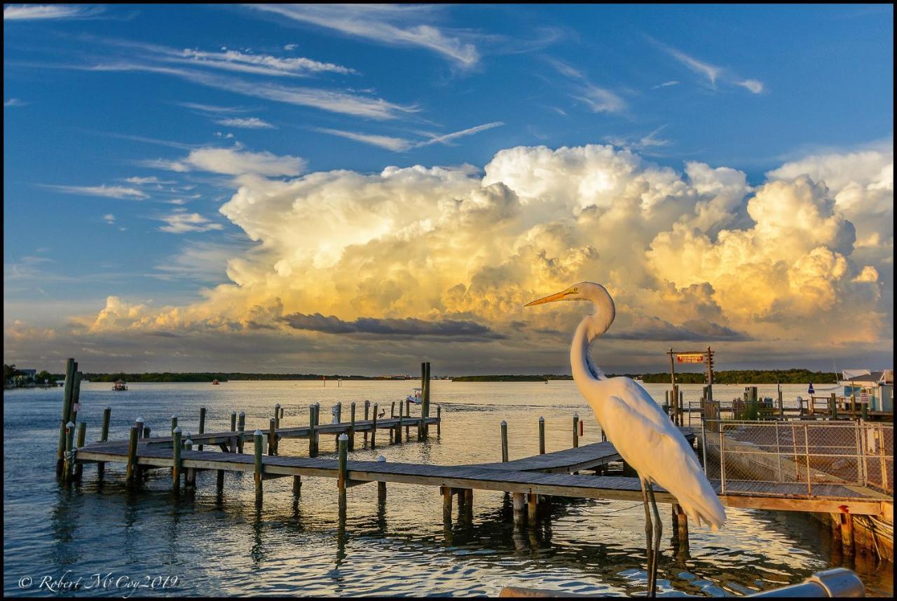 Affordable Beach Condos - One Bedroom Dlx Condos St. Pete Beach Exterior photo